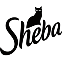 Sheba}