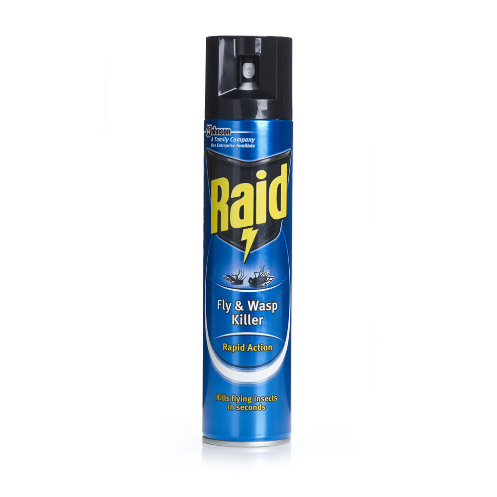 Raid Fly & Wasp Killer 300ml