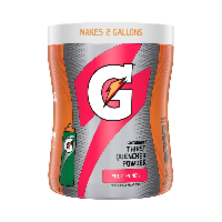 Gatorade Thirst Quencher Fruit Punch 18.3oz (521g)