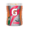 Gatorade Thirst Quencher Fruit Punch 18.3oz (521g)