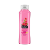 Alberto Balsam Shampoo Raspberry 350ml/300ml
