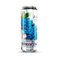 Arizona Blueberry White Tea 22oz (650ml)
